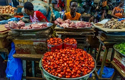 Ivory Coast